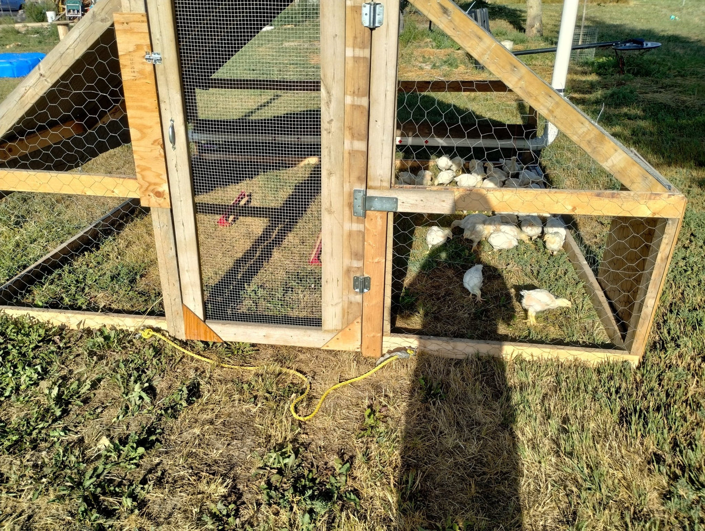 Pasture Raised Whole Chickens (NON GMO)- PRE ORDERS - deGraaf Garlic