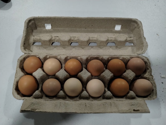 Eggs - Pasture Raised Farm Fresh Eggs - deGraaf Garlic